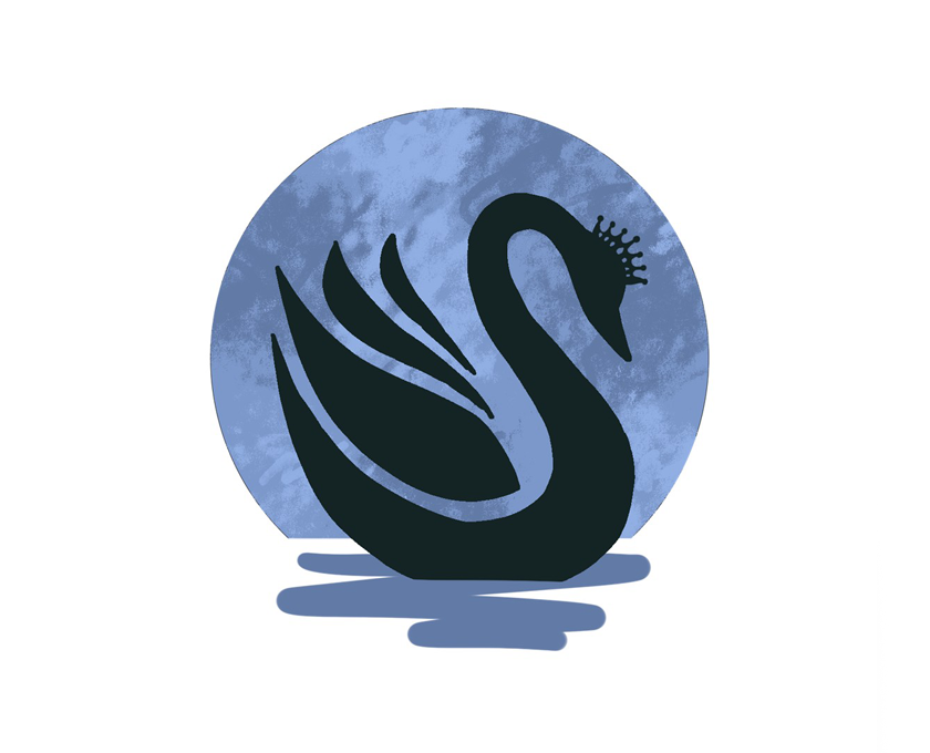 Bluebells School of Dance and Performing Arts: Swan Lake thumbnail image