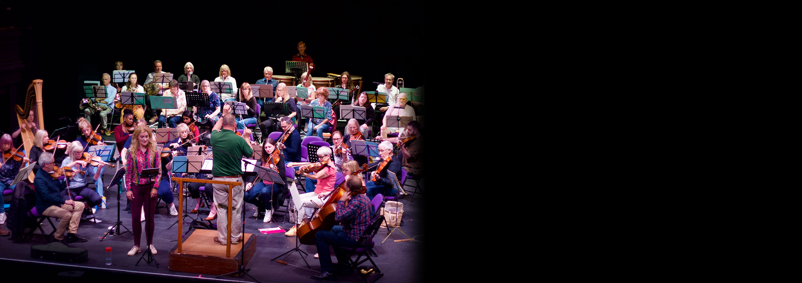 City of Rochester Symphony Orchestra hero image